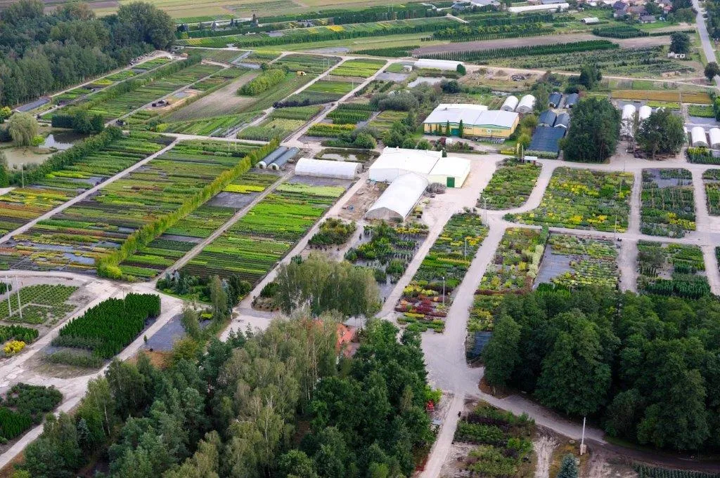 Розплідник рослин