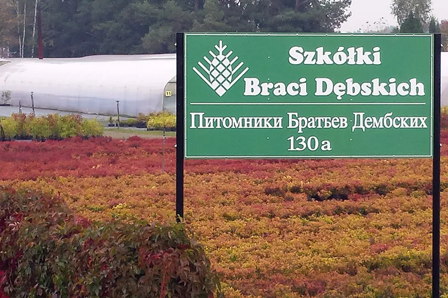 Багатолітники