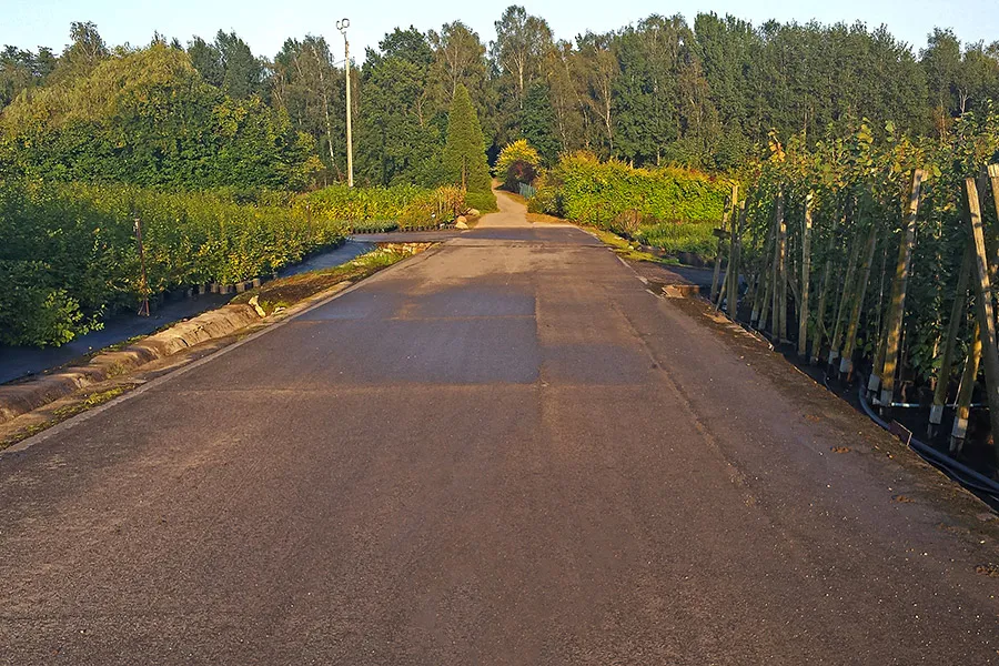 Торгова площа